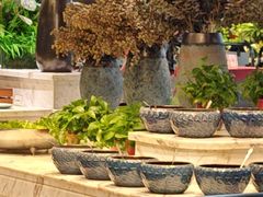 -金滏山·烤肉海鲜火锅自助(襄阳万达店)