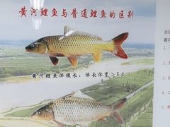 -魁盛居百年鲁菜馆(中林路店)