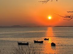 -小麦岛公园