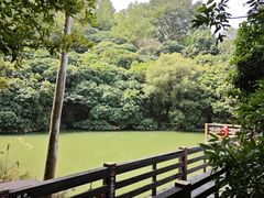 -水濂山森林公园