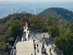 -杭州半山国家森林公园