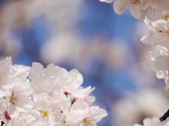 -永乐路-路侧停车场