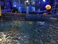 -太平洋海底世界