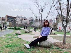 -堤角公园