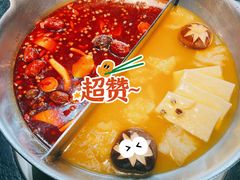 花胶鸡汤锅底-湊湊火锅·茶憩(新中关购物中心店)