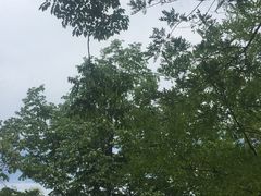 -黄河小浪底水利枢纽风景区