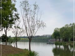 -东郊湿地公园