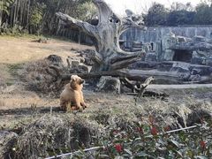 -宁波野生动物园