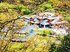 -黄龙山原始森林景区