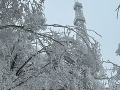-紫金山山顶公园