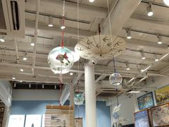 -猫的天空之城概念书店(杭州南宋御街店)