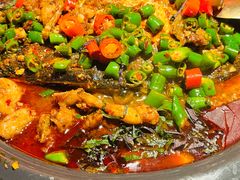 -探鱼·鲜青椒爽麻烤鱼(北京路天河城店)