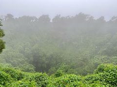 -海口火山口国家地质公园