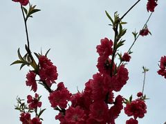 -朝阳公园