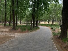 -东郊湿地公园