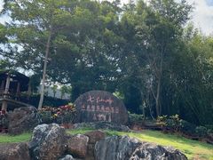 -七仙岭温泉国家森林公园