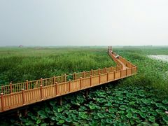 -白洋淀景区