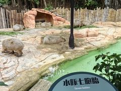 -珠海长隆海洋王国