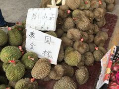 -海吉星市场