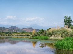 -西昌邛海湿地