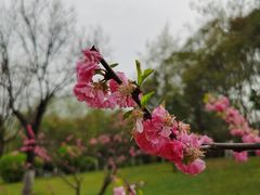 -城市运动公园(未央区)