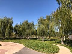 -天津东丽湖风景区