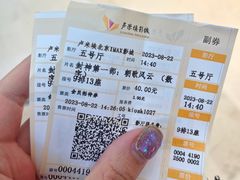 -卢米埃影城(长楹天街IMAX激光店)