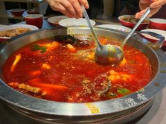-蜀滋香鲜鱼美蛙火锅(339店)