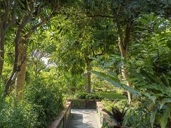 -广州神农草堂中医药博物馆