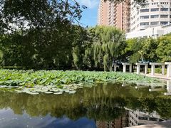 -青城公园
