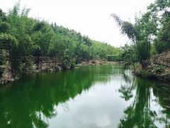 -沐川竹海旅游景区