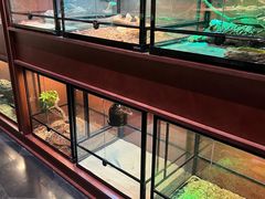 -帕帕拉兹宠物(亚洲旗舰店)