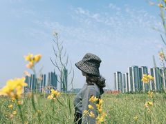 -光明小镇欢乐田园