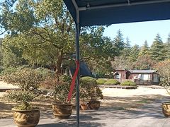 -陶祖圣境风景区