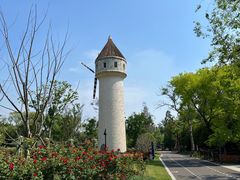 -东平国家森林公园