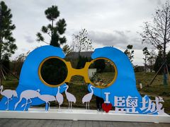 -盐城丹顶鹤湿地生态旅游区