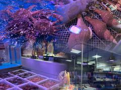 -金成潮菜博物馆(海珠湿地店)