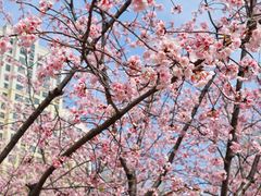 -白塘生态植物园