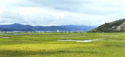 -纳帕海依拉草原