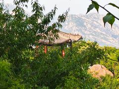 -北京凤凰岭