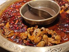 -哥老官重庆美蛙鱼头(西湖银泰十一哥店)