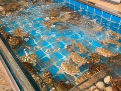 -海草馆自助餐厅(悦海店)