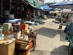 -中环花鸟鱼虫市场