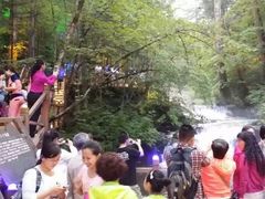 -峡谷浮石林景区