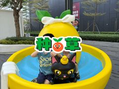 -东莞松山湖万象汇