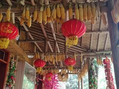 -武陵山森林公园