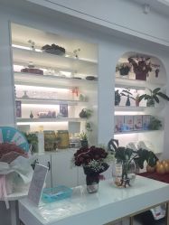 -斐尔国际皮肤管理中心