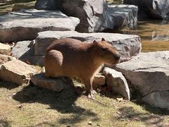 -宁波野生动物园