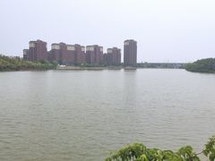 -塘沽森林公园