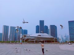 -东港音乐喷泉广场